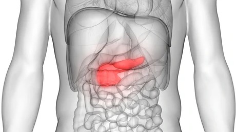 Pancreas symptoms in pancreatitis