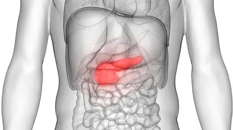 Pancreas symptoms in pancreatitis