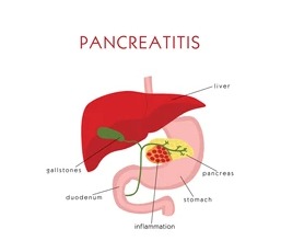 Pancreas